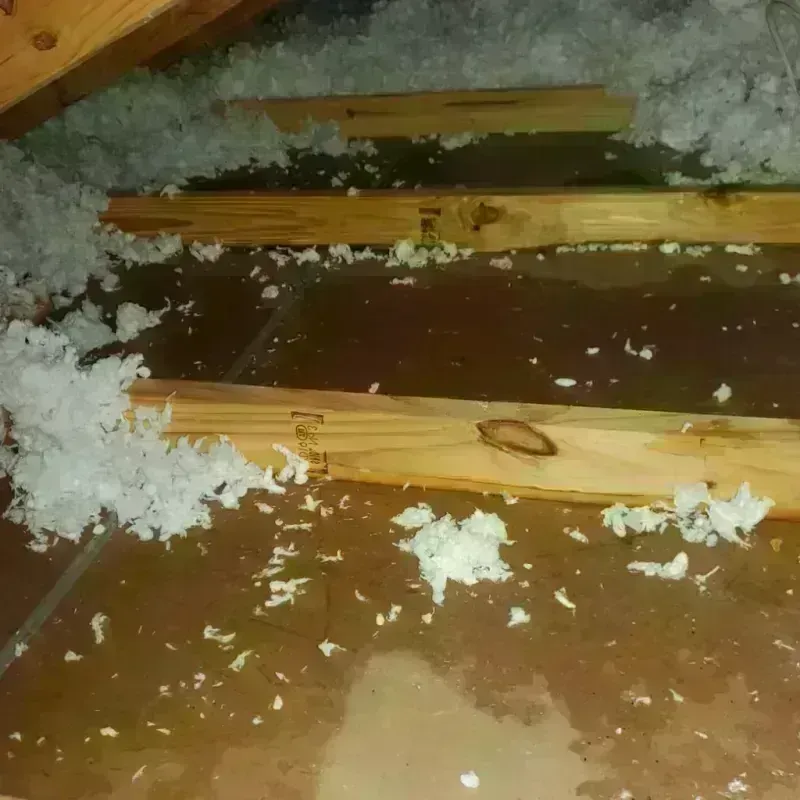 Attic Water Damage in Warminster Heights, PA